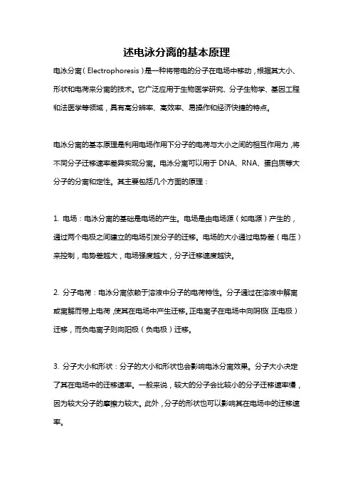 述电泳分离的基本原理