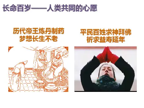 我国养老现状ppt课件