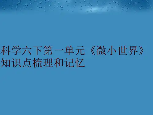 科学六下第一单元《微小世界》知识点梳理和记忆