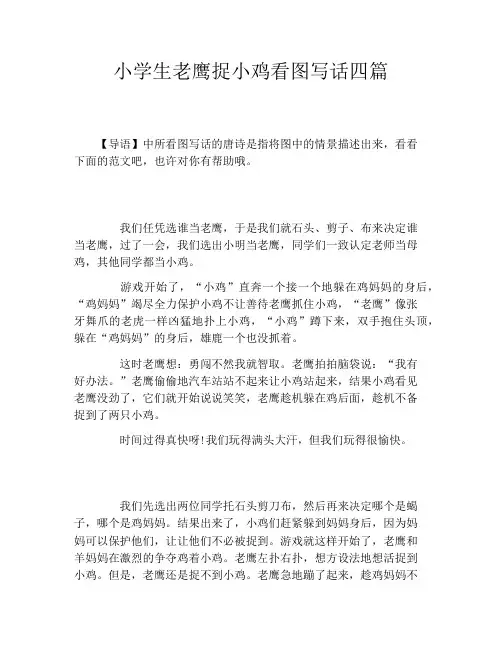 小学生老鹰捉小鸡看图写话四篇