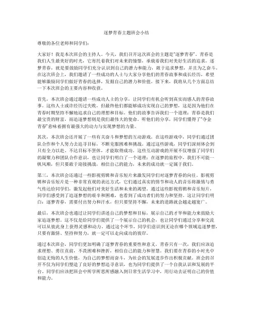 逐梦青春主题班会小结