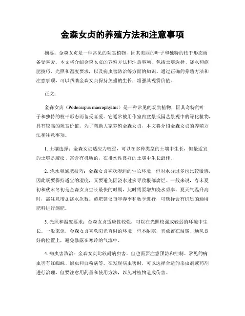 金森女贞的养殖方法和注意事项