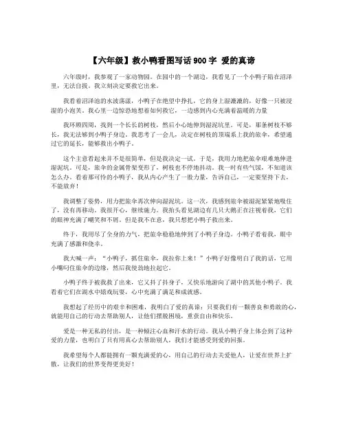 【六年级】救小鸭看图写话900字 爱的真谛