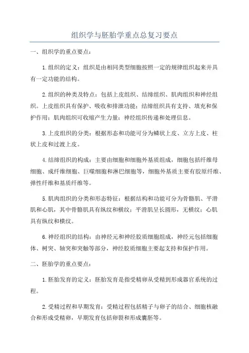组织学与胚胎学重点总复习要点
