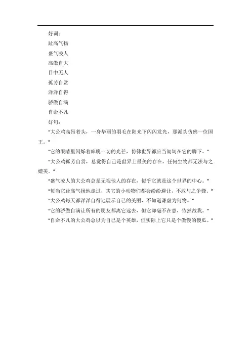 骄傲的大公鸡好词好句摘抄