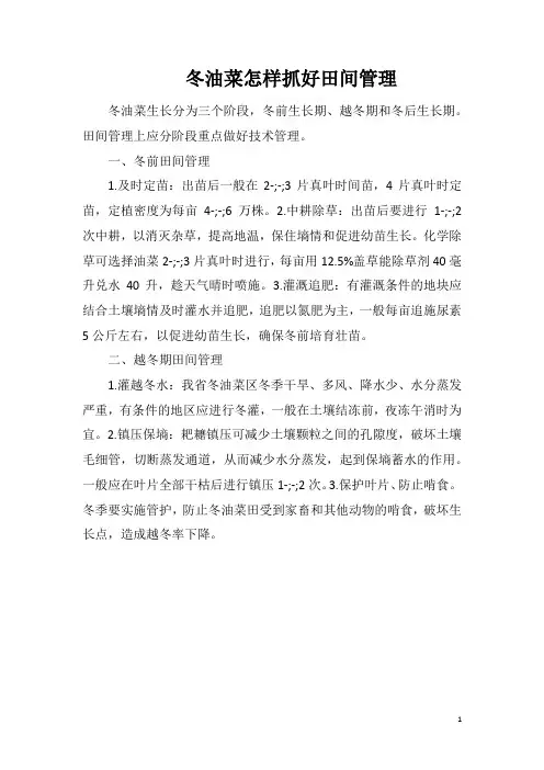 冬油菜怎样抓好田间管理