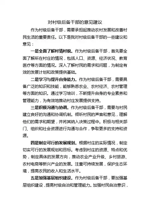 对村级后备干部的意见建议