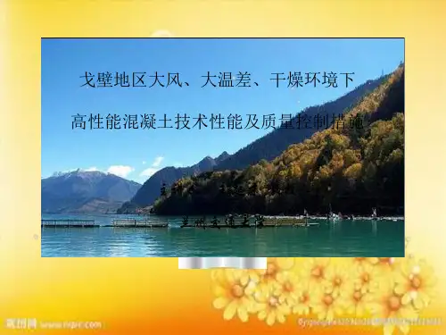 高性能混凝土知识讲座-PPT