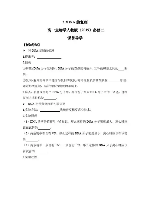 高中生物学人教版(2019)必修二  DNA的复制 导学案(含解析)