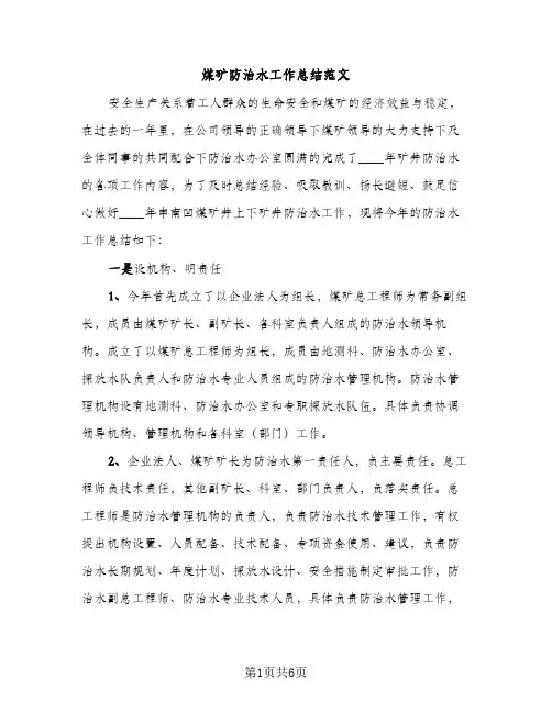 煤矿防治水工作总结范文（2篇）
