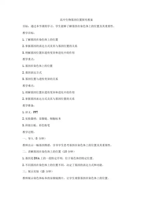 高中生物基因位置探究教案