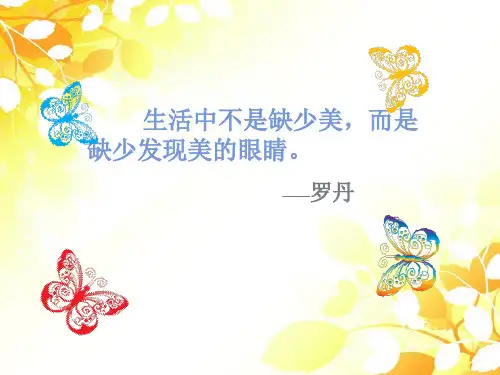 人教版四年级美术下册第9课 对称的美 课件 (共22张PPT)