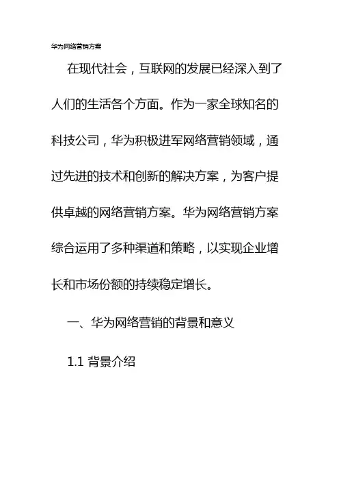 华为网络营销方案