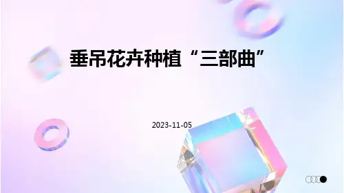 垂吊花卉种植“三部曲”