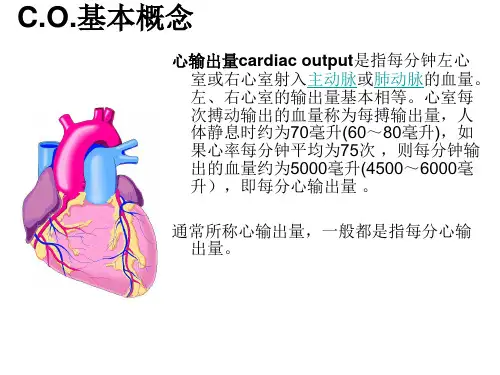 各种心排量检查技术介绍PPT012