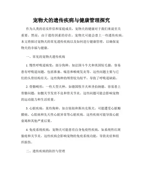 宠物犬的遗传疾病与健康管理探究