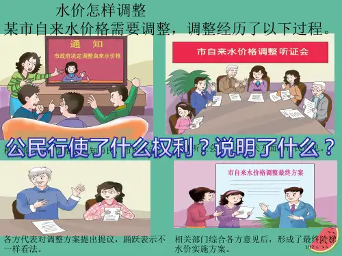 九年级道德与法治上册第二单元社会治理依法保障2.2公民依法参与公共事务第2框公民依法参与公共事务的途