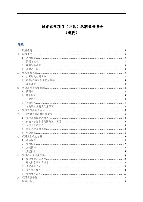 城市燃气项目(并购)尽职调查报告模板