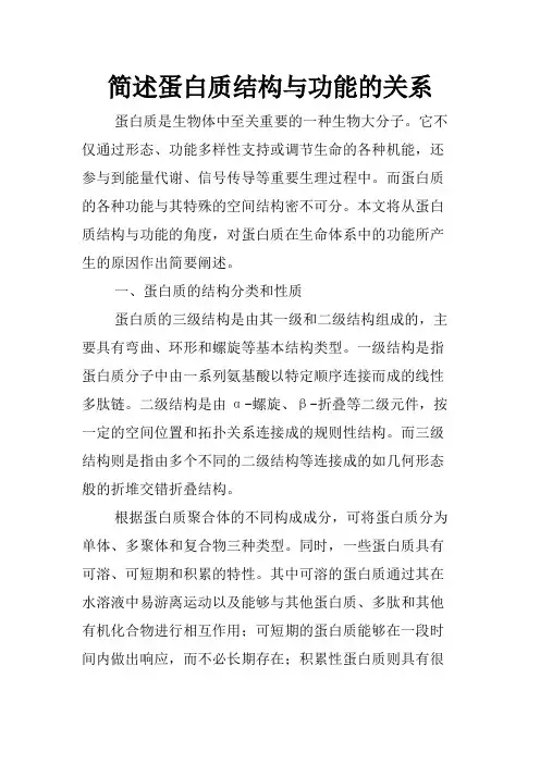 简述蛋白质结构与功能的关系