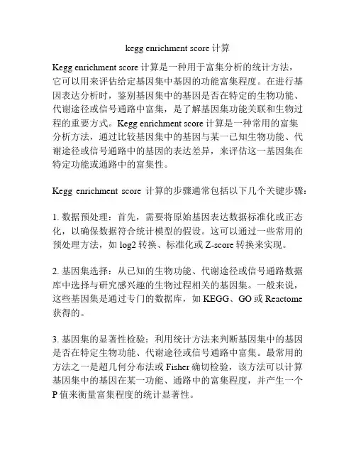 kegg enrichment score计算