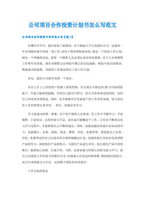 公司项目合作投资计划书怎么写范文