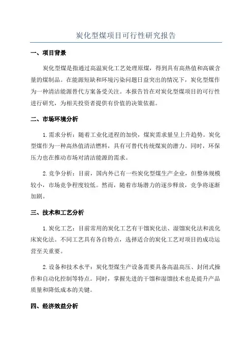 炭化型煤项目可行性研究报告
