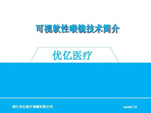 可视软性喉镜介绍