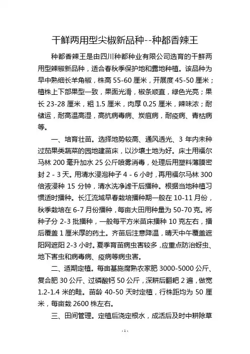 干鲜两用型尖椒新品种种都香辣王