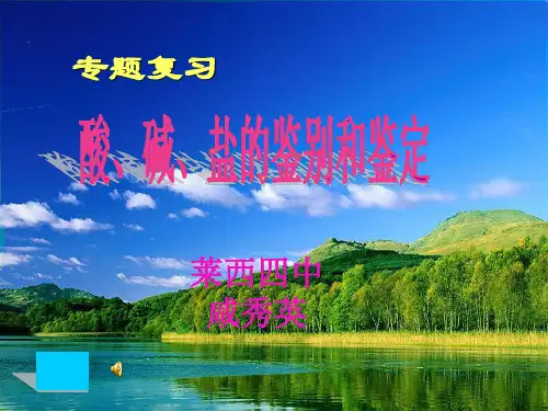 酸碱盐的鉴定鉴别