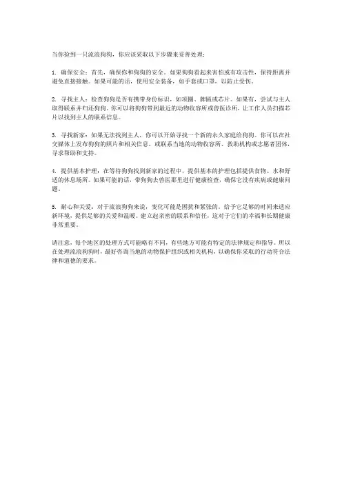 捡到狗狗要怎么处理