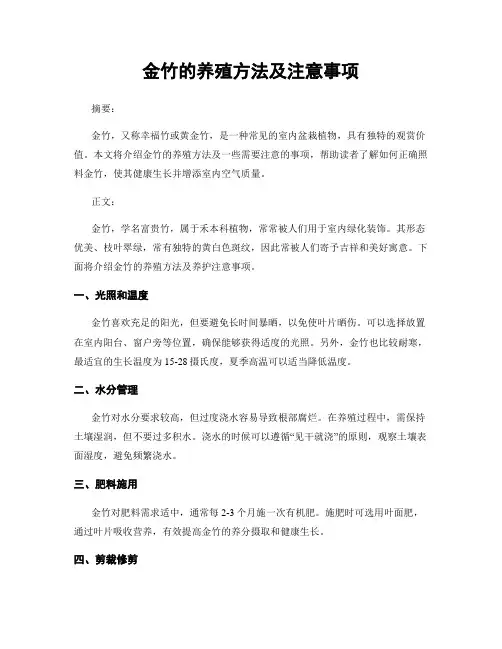 金竹的养殖方法及注意事项