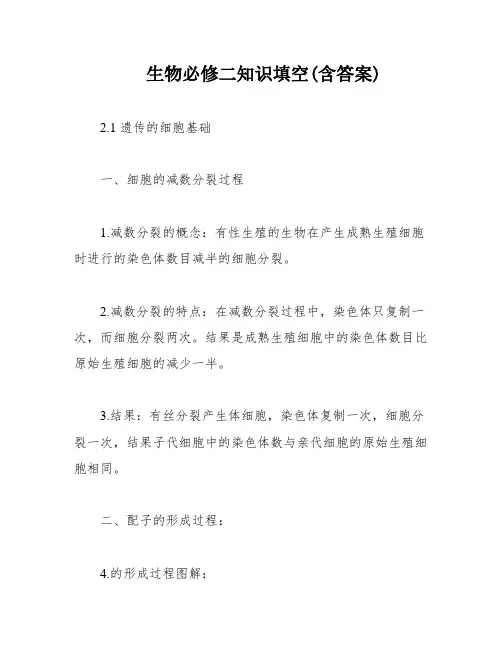 生物必修二知识填空(含答案)