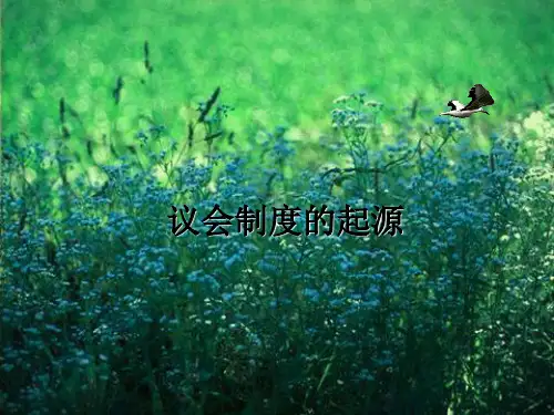英国议会制度起源