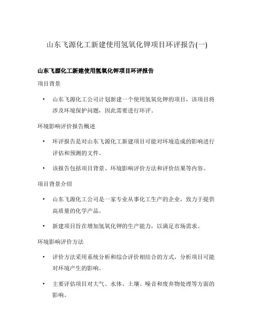 山东飞源化工新建使用氢氧化钾项目环评报告(一)
