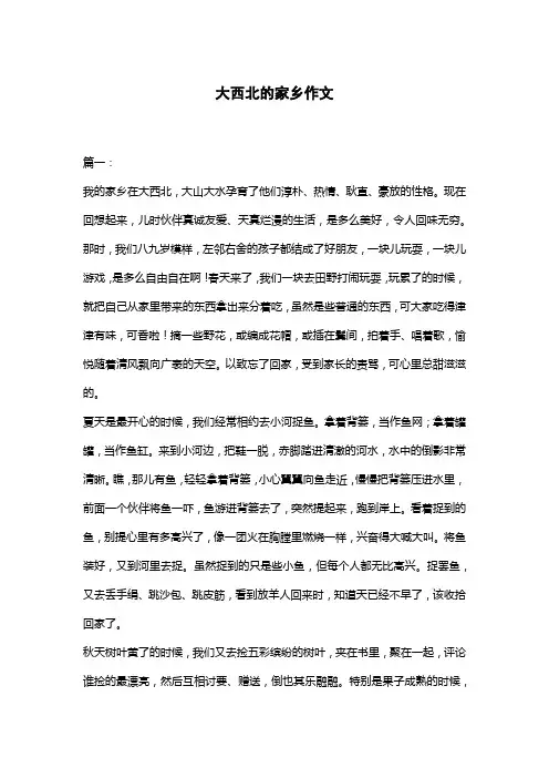 大西北的家乡作文