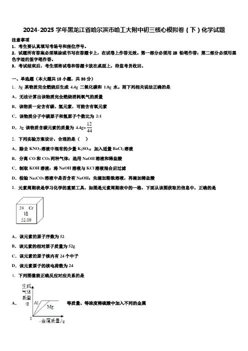 2024-2025学年黑龙江省哈尔滨市哈工大附中初三核心模拟卷(下)化学试题含解析