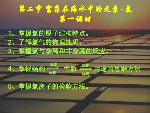 【人教版】化学必修一富集在海水中的元素——氯PPT