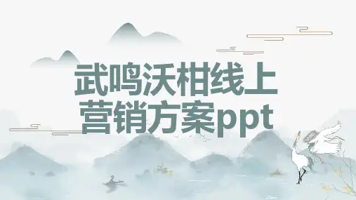 武鸣沃柑线上营销方案