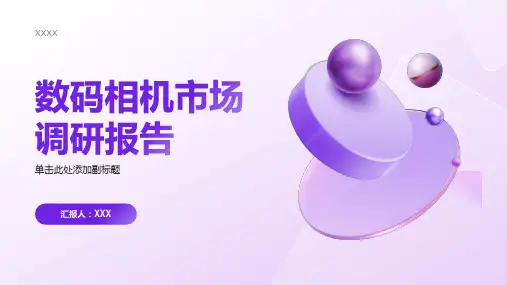 数码相机市场调研报告