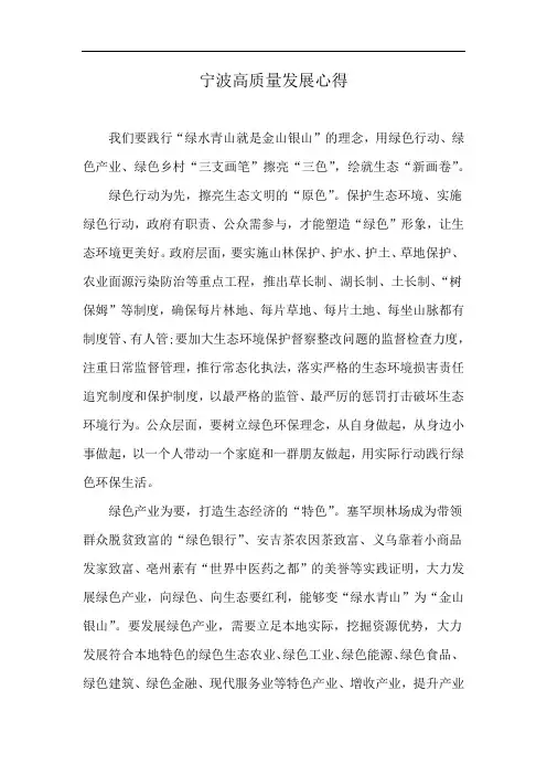 宁波高质量发展心得