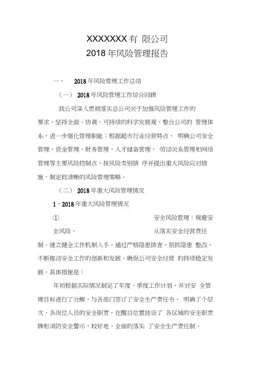 (完整版)2018年度风险管理报告