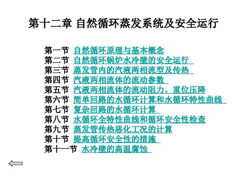 自然循环蒸发系统及安全运行资料重点
