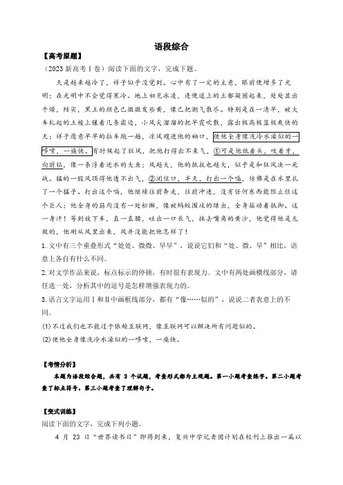 语段综合 专练(含答案)2024届高中语文统编版一轮复习