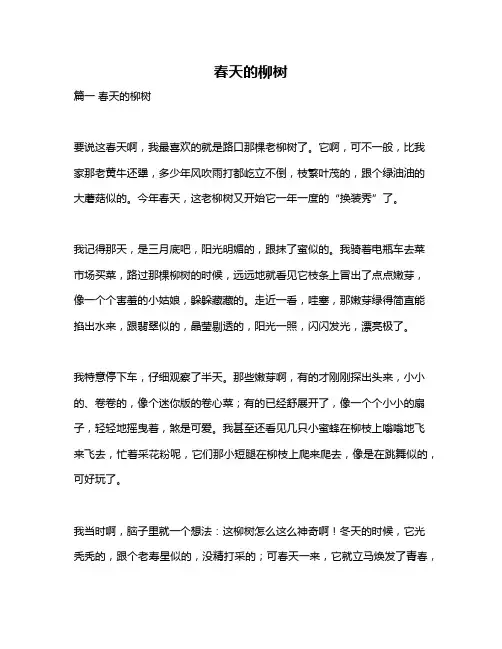 作文《春天的柳树》