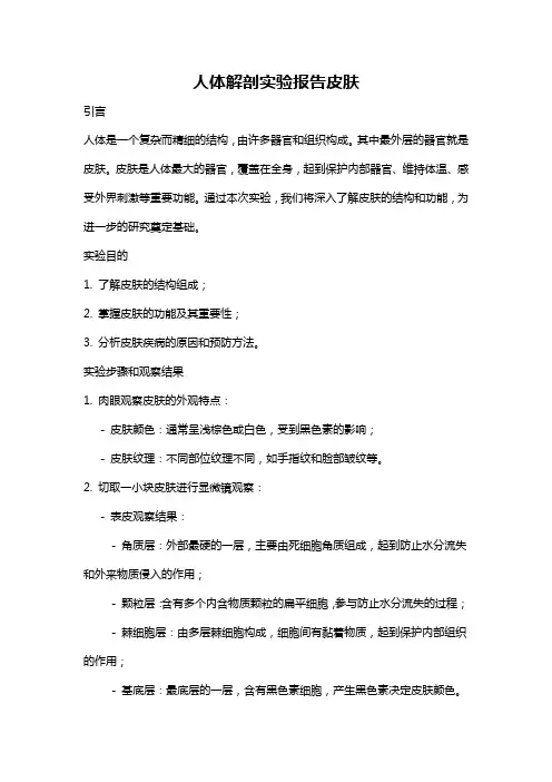 人体解剖实验报告皮肤
