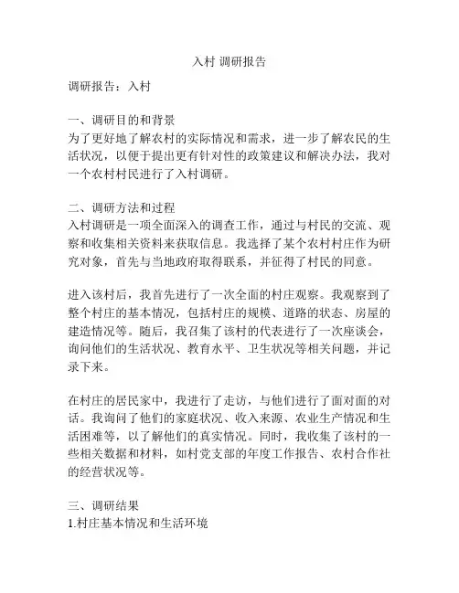 入村 调研报告