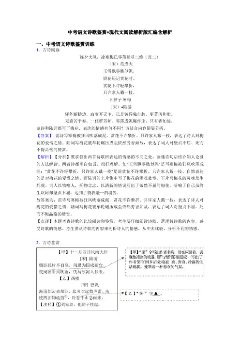 中考语文诗歌鉴赏+现代文阅读解析版汇编含解析