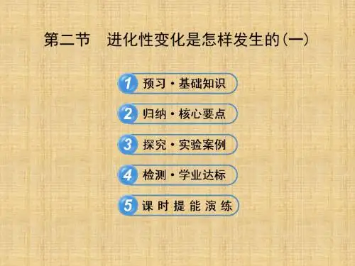 【学习方略】高中生物 5.2进化性变化是怎样发生的(一)名师优质课件 浙科版必修2