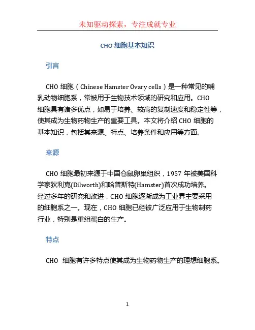 CHO细胞基本知识