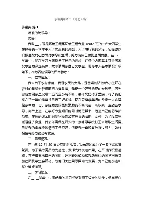 承诺奖申请书（精选4篇）